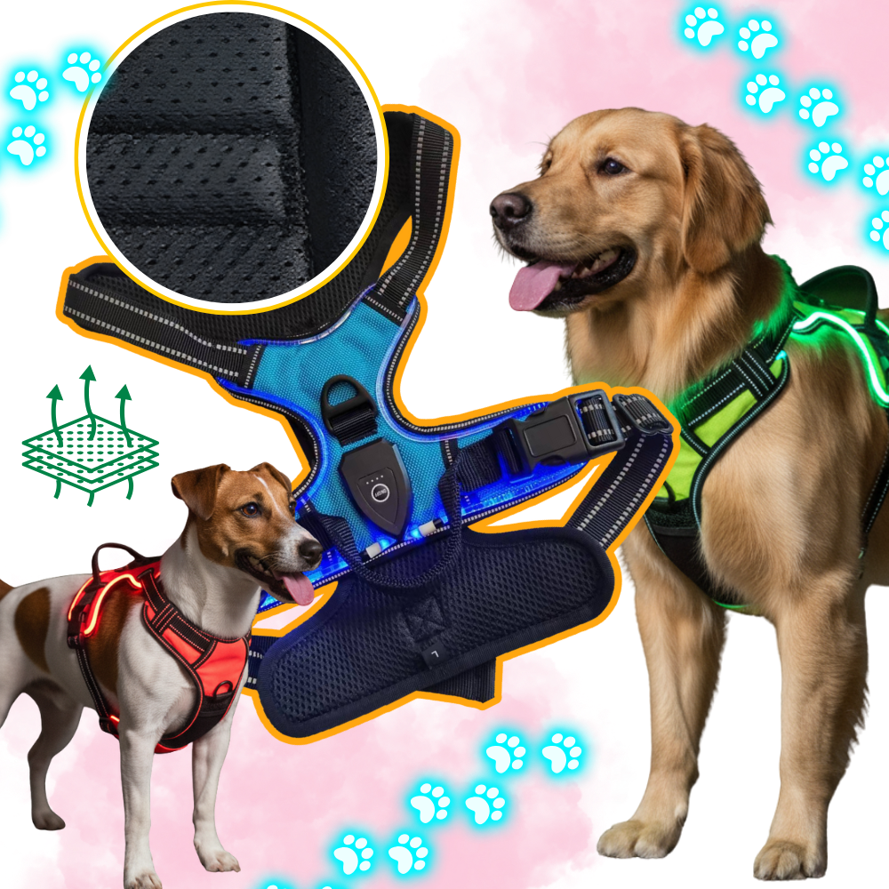 Blink LED Light Dog Harness - Ozerty