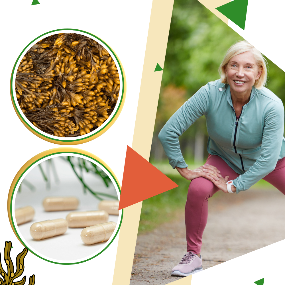 Marine Herb Supplement - Ozerty