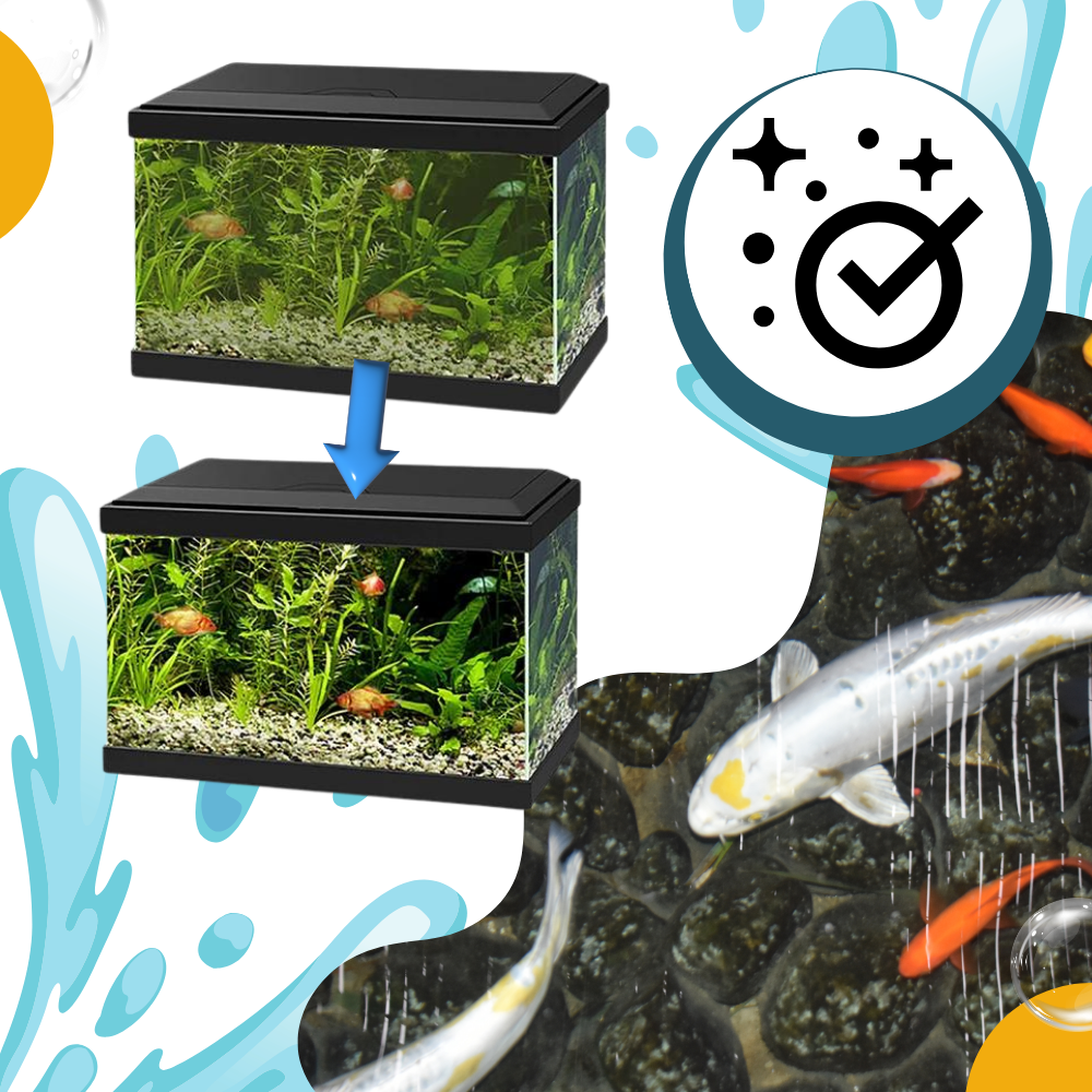 Preventive Aquarium Algaecide - Ozerty