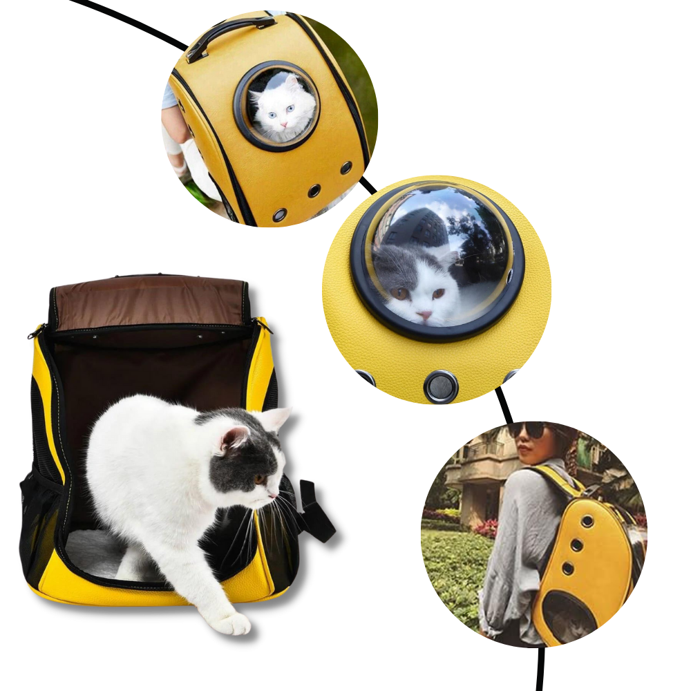 Cat Travel Backpack - Ozerty