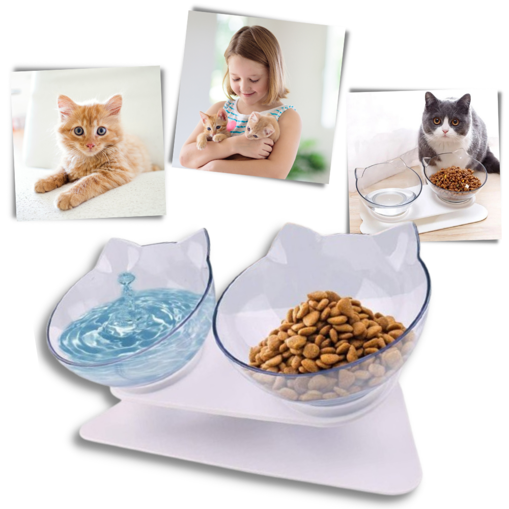 Antivomit cat bowl Elevated cat bowls Raised cat bowl Cat bowls with stand