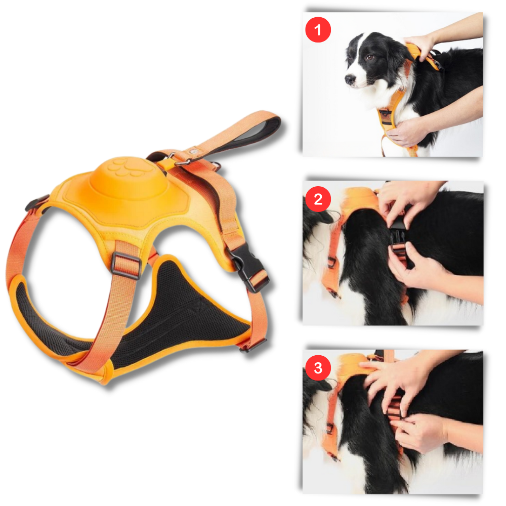 Adjustable Ergonomic Retractable Leash Set - Ozerty