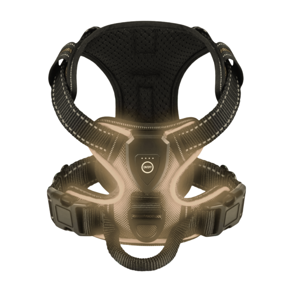 Blink LED Light Dog Harness