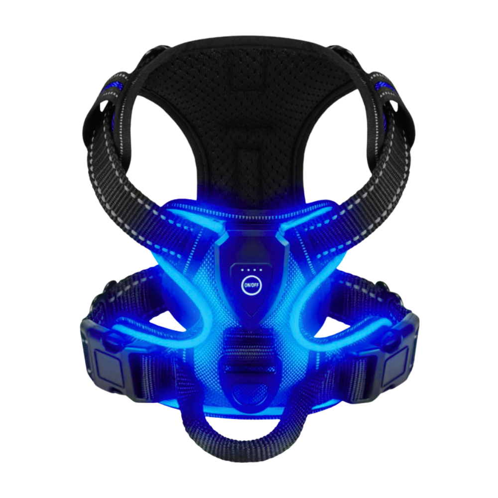 Blink LED Light Dog Harness