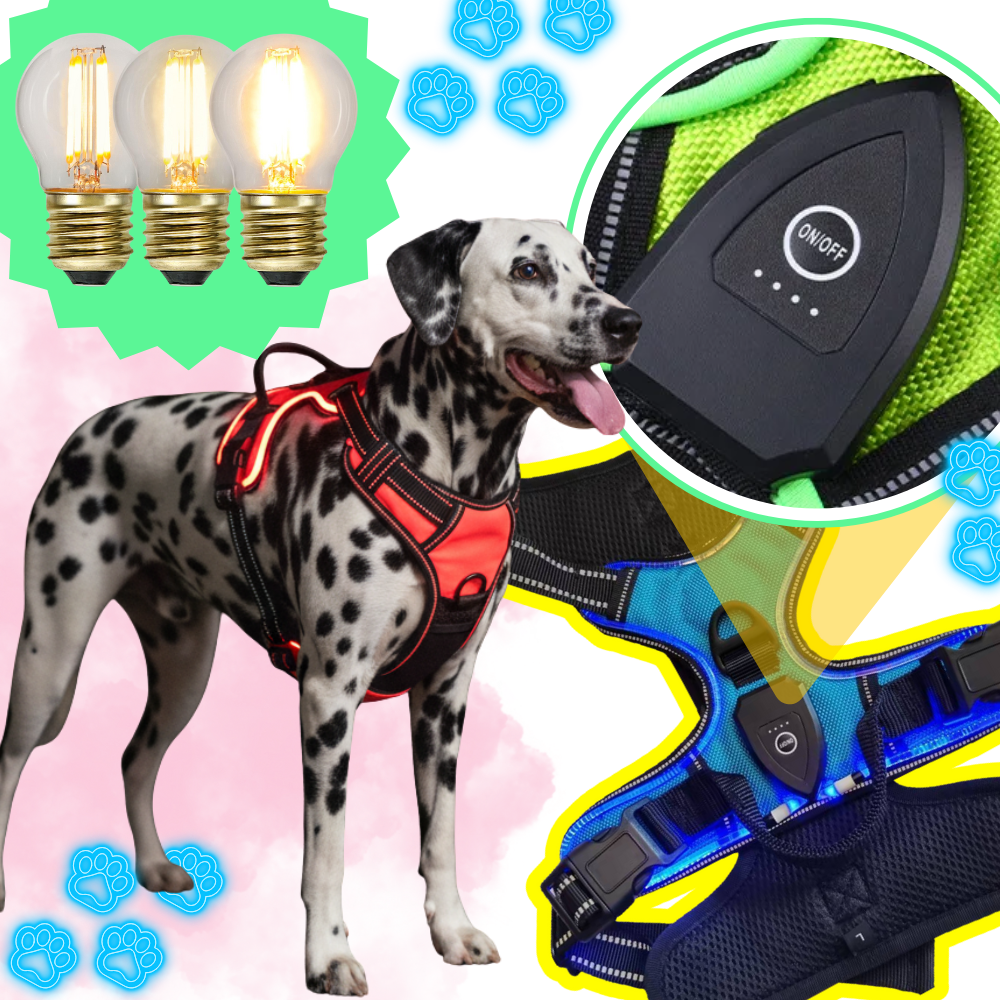 Blink LED Light Dog Harness - Ozerty