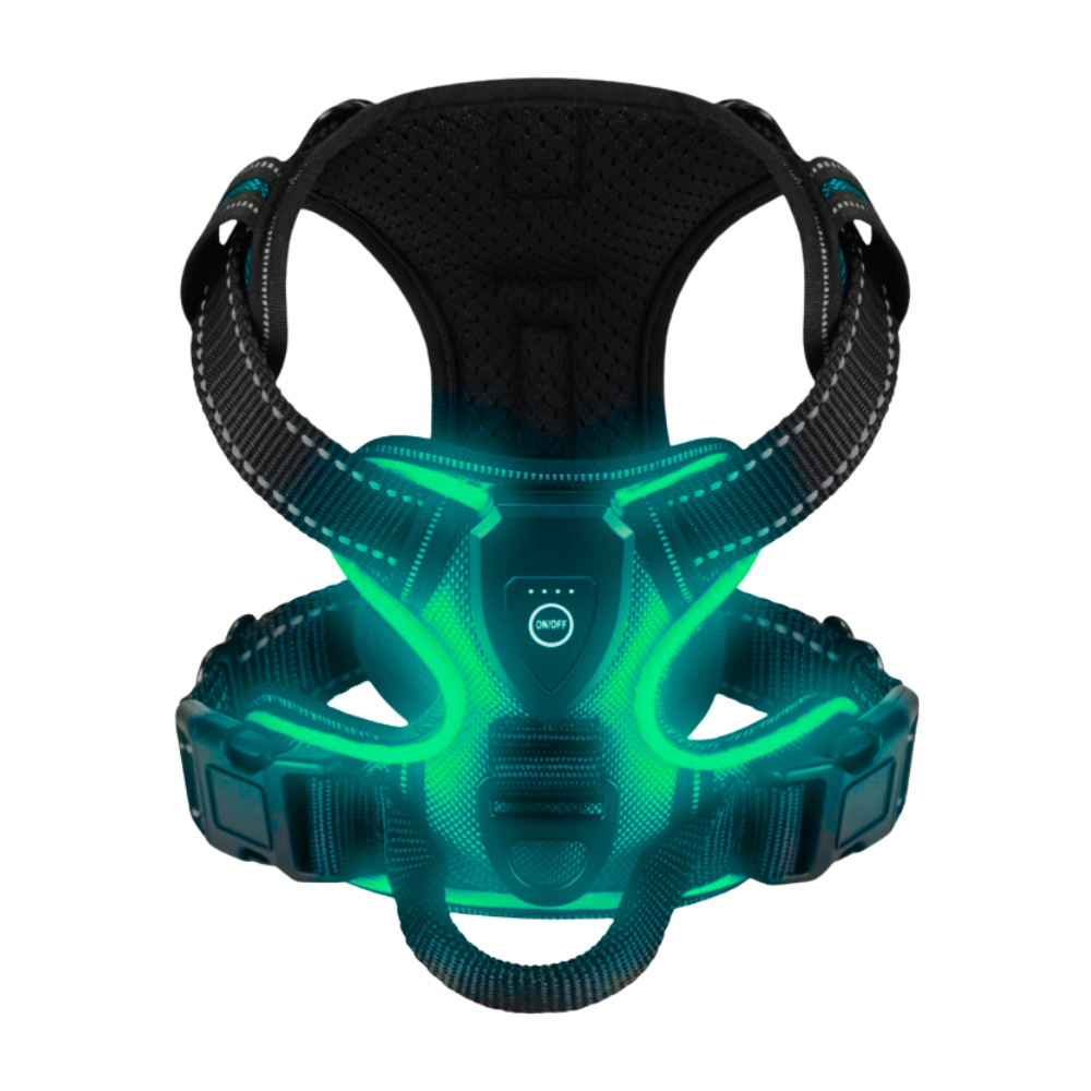 Blink LED Light Dog Harness