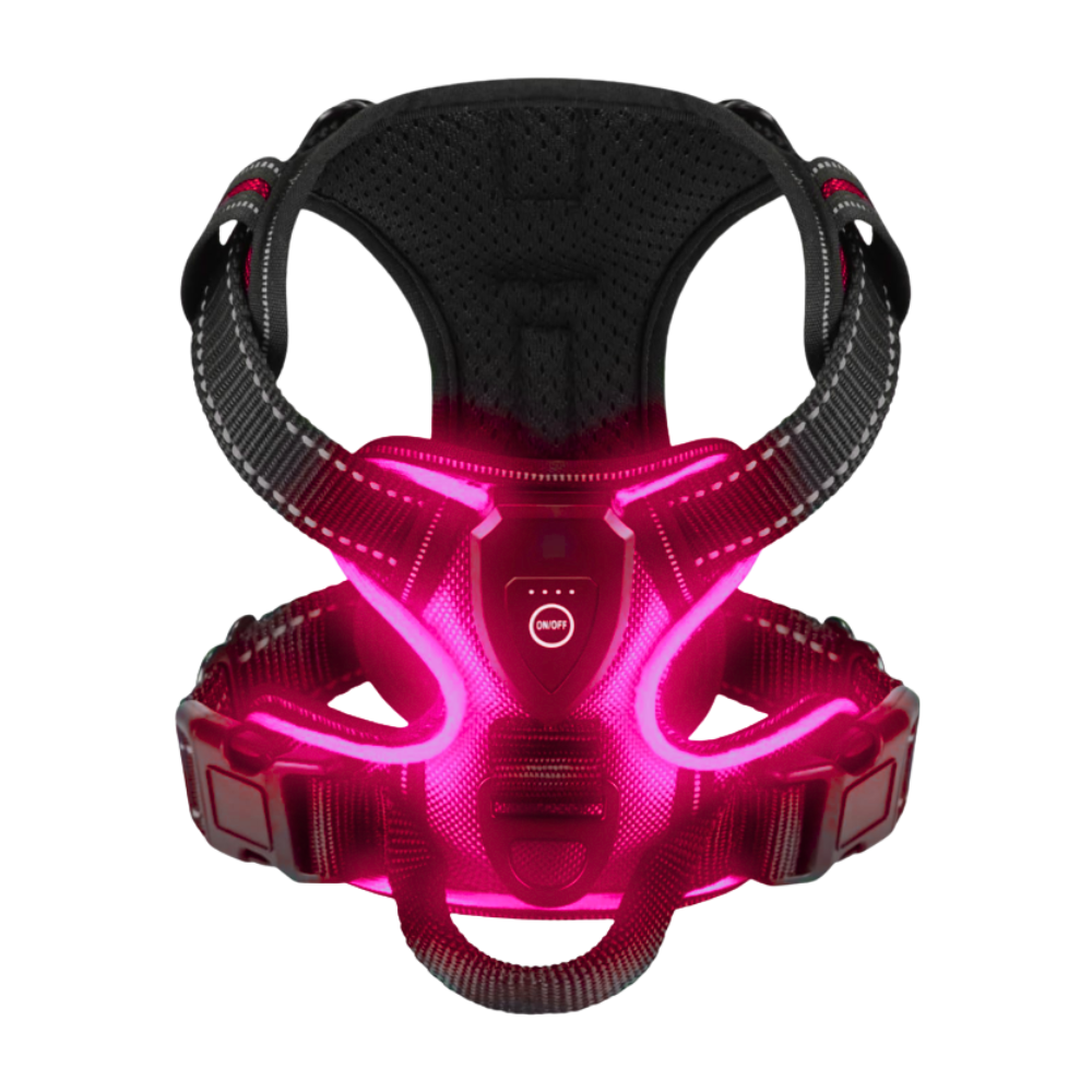 Blink LED Light Dog Harness -Pink - Ozerty