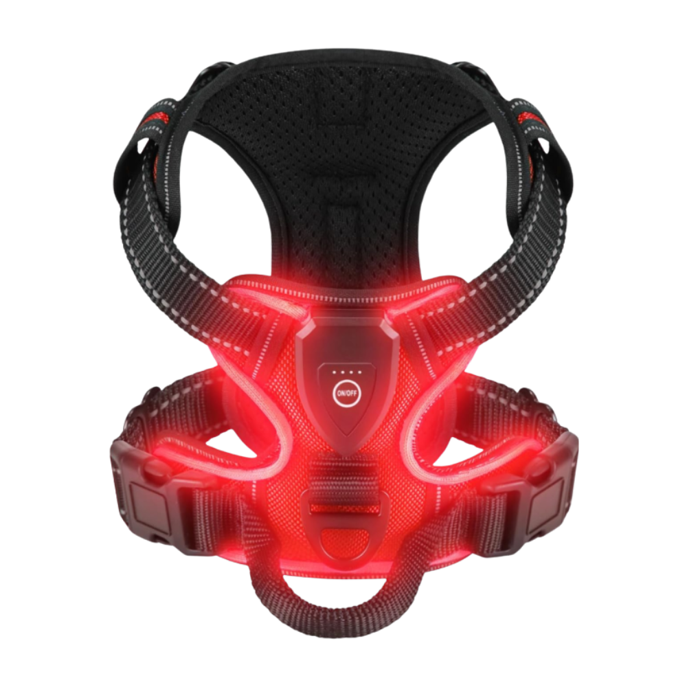 Blink LED Light Dog Harness -Red - Ozerty