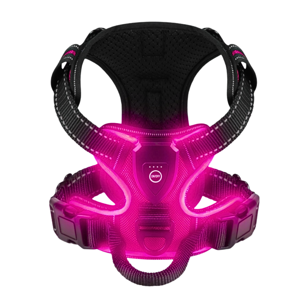 Blink LED Light Dog Harness -Rose red - Ozerty