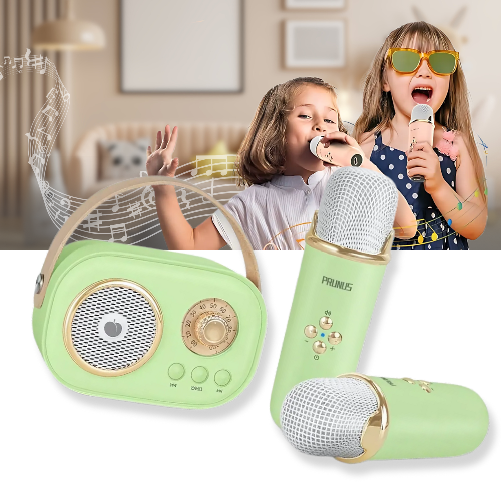 Bluetooth Dual Mic Kids Mini Karaoke - Ozerty