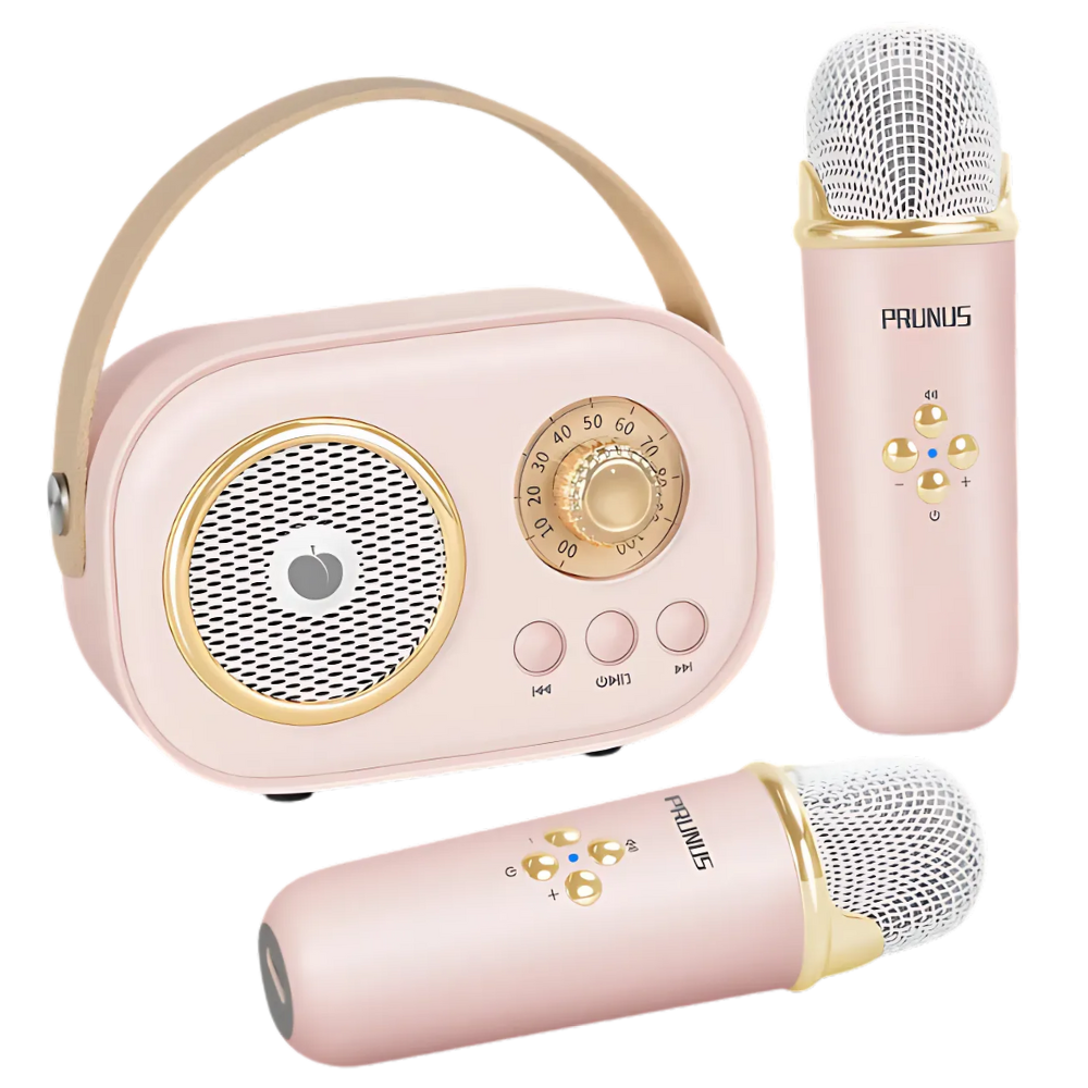 Bluetooth Dual Mic Kids Mini Karaoke -Rose - Ozerty