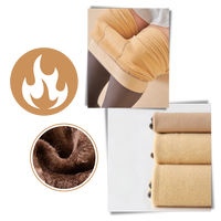 Fake Translucent Fleece Lined Tights