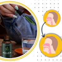Gluten Free Mullein For Lung Health