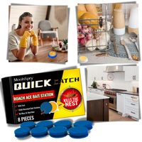 Odorless Cockroach Traps