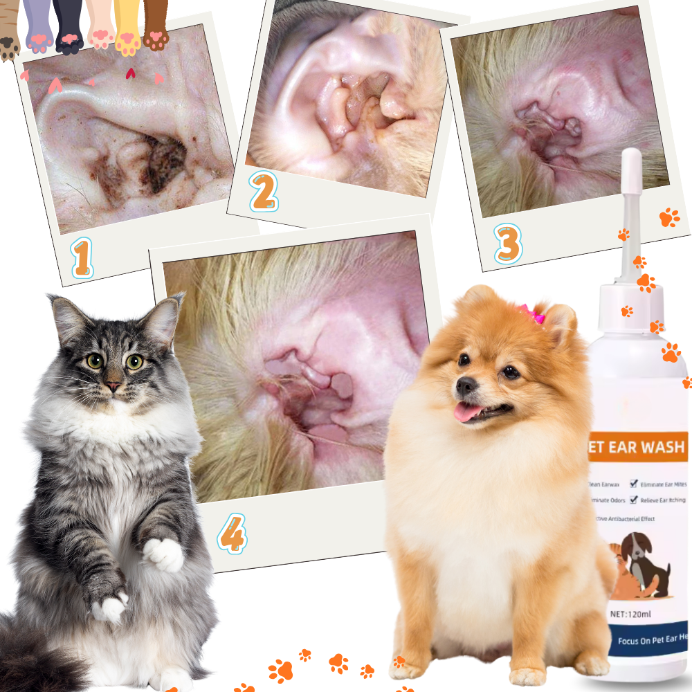 Pet Ear Deodorant Cleaner - Ozerty
