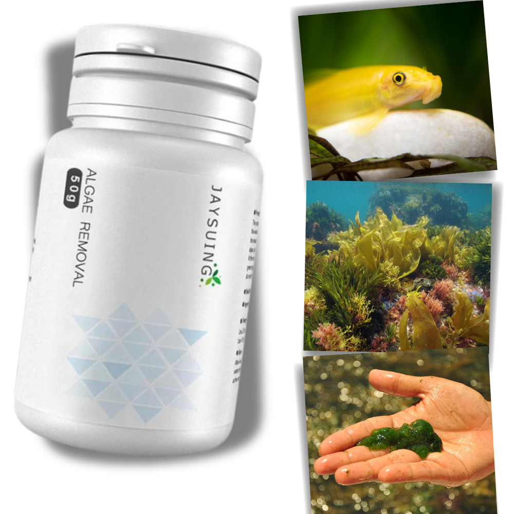 Preventive Aquarium Algaecide - Ozerty