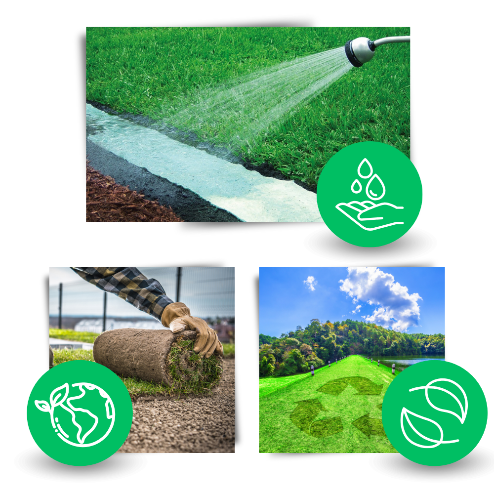 Quick Fix Green Grass Seed Mat - Ozerty