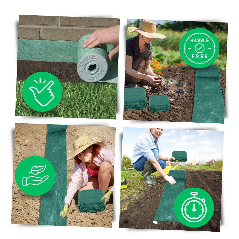 planting lawn seed australia Grass seed mat | Fast growing grass seed