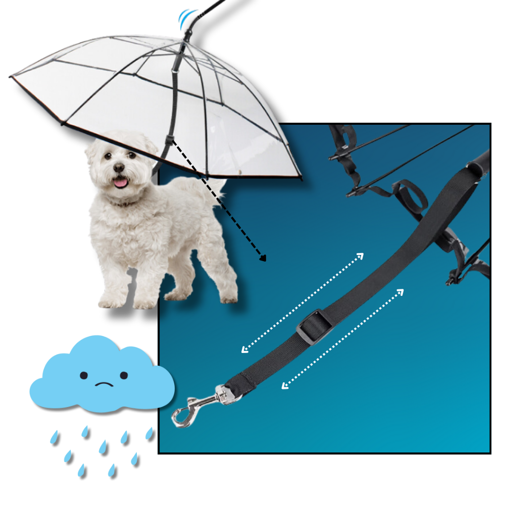 Transparent Dog Umbrella Leash - Ozerty