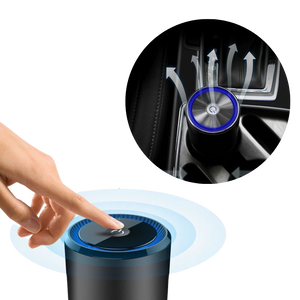 Ionic Air Purifier