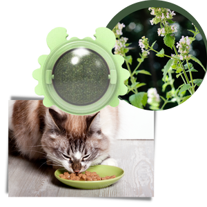 Rotatable Cat Mint Ball Toy