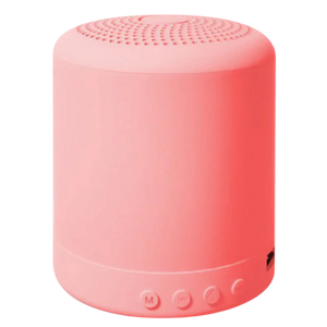Mini Bluetooth Speaker