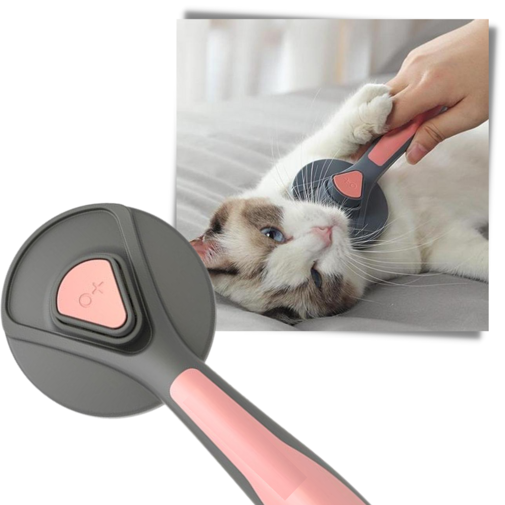 Special Brush For Pets