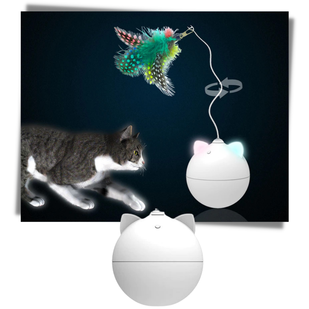 Cat Toy Ball With Auto-Roll Feature