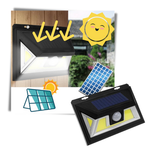 Solar-Powered LED with Motion Detector