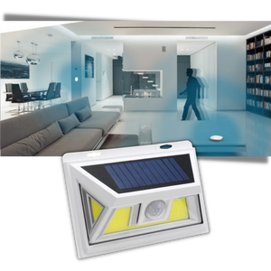 Solar-Powered LED with Motion Detector