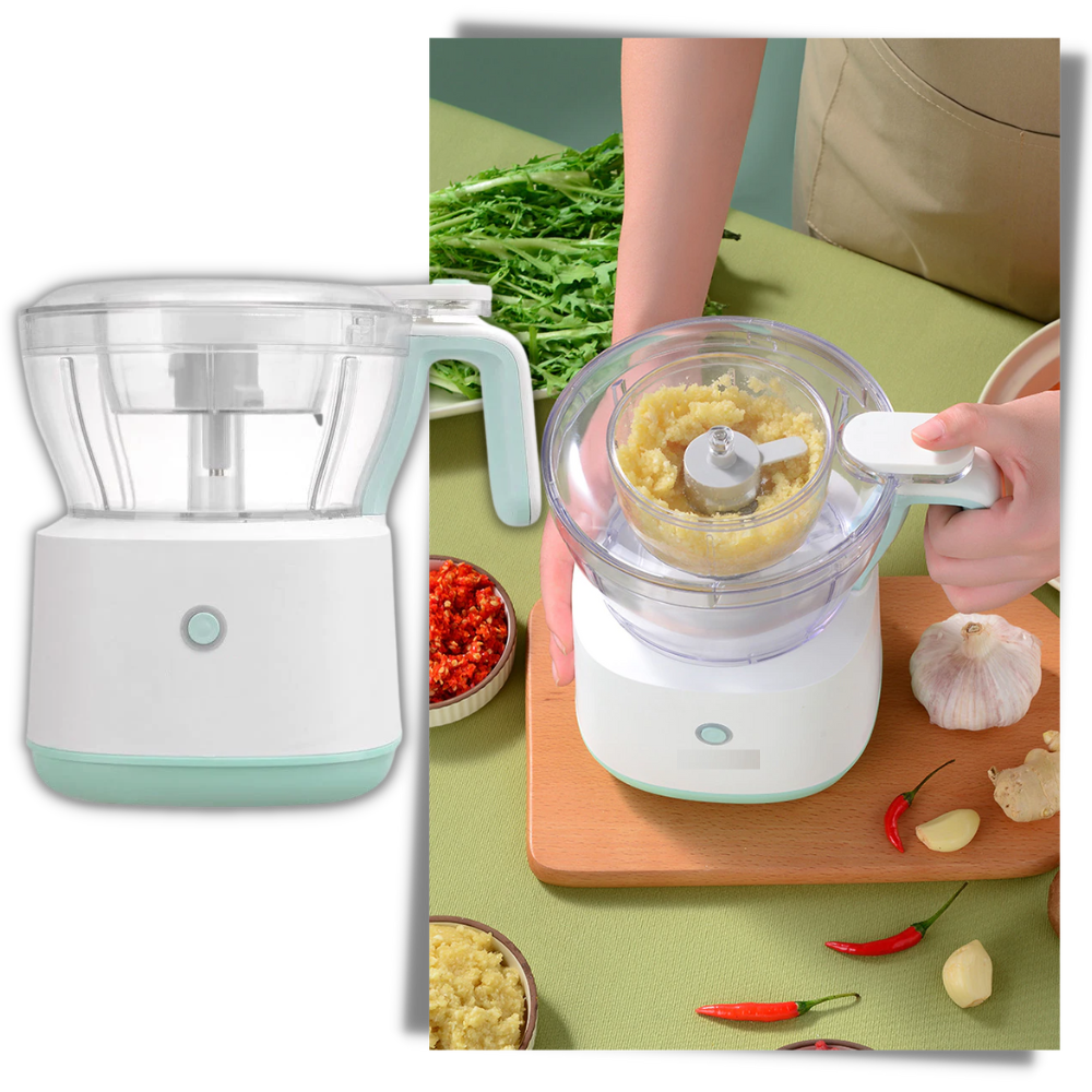 Electric Food Grinder and Masher