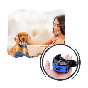 Anti bark dog collar