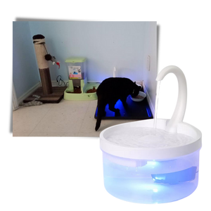 Auto water fountain for cat with LED light
