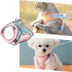 Pet Harness and Leash Set