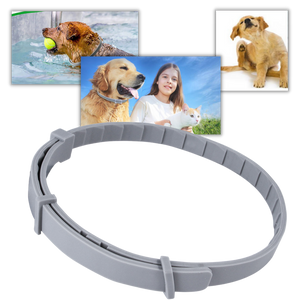 Anti-Flea Collar for Pets -