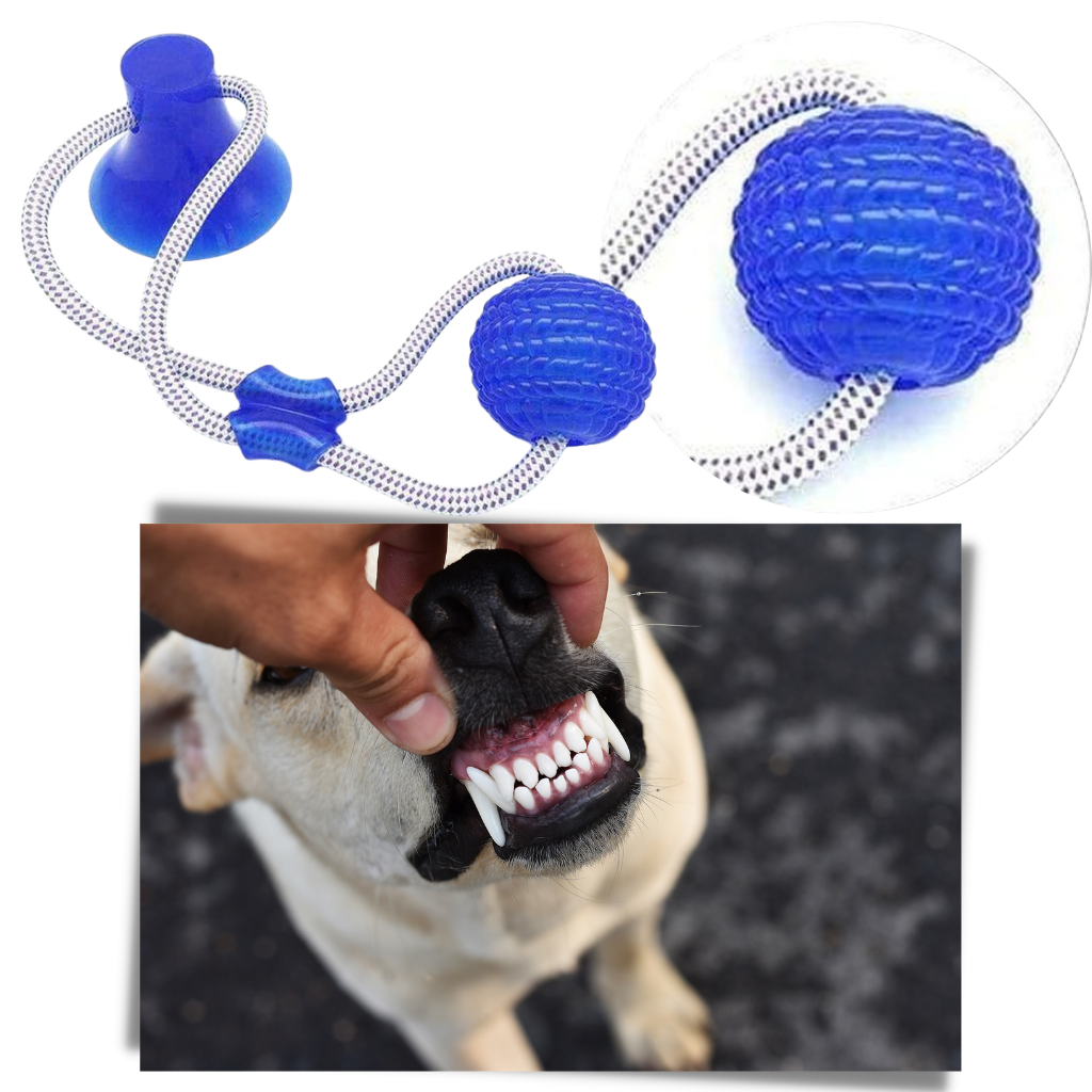 Suction Cup Dog Pull Ball Toy