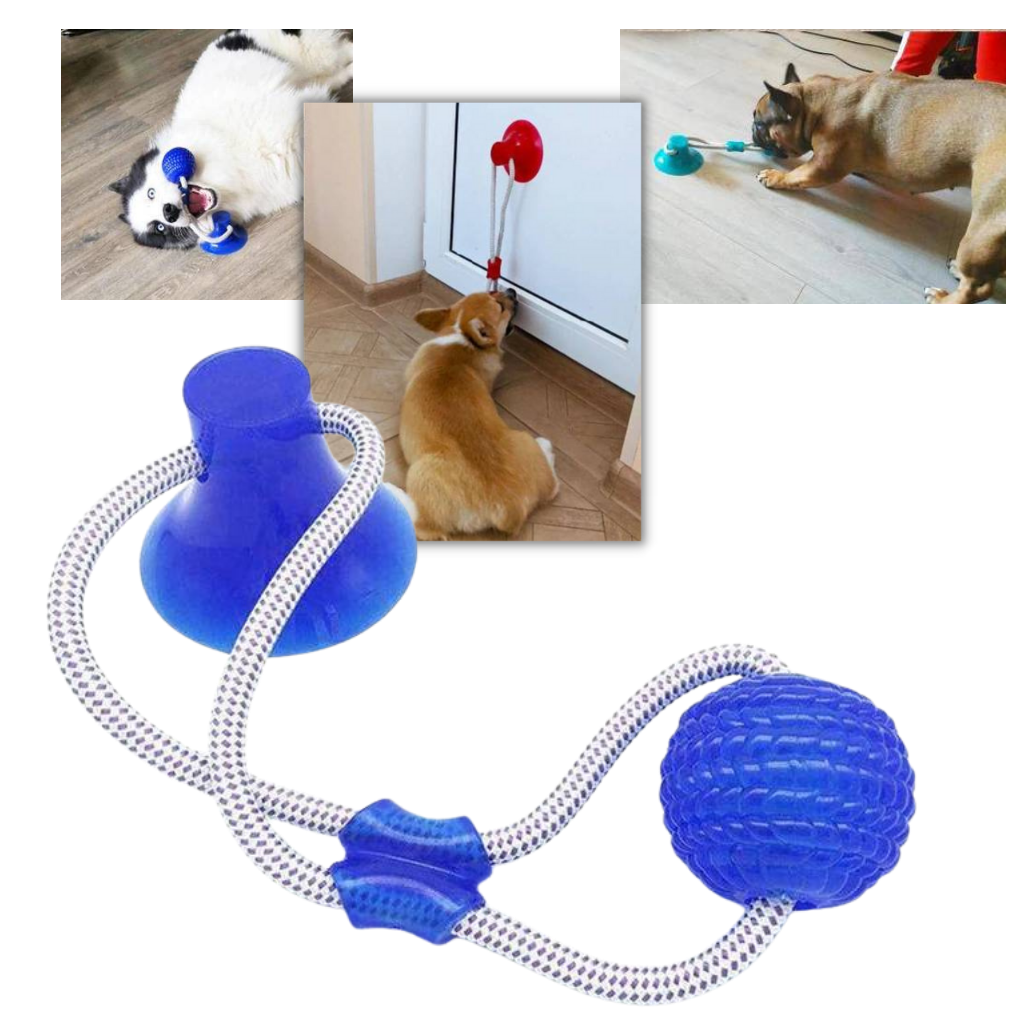 Suction Cup Dog Pull Ball Toy -