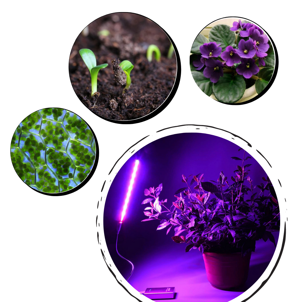 USB plant growth LED lamp