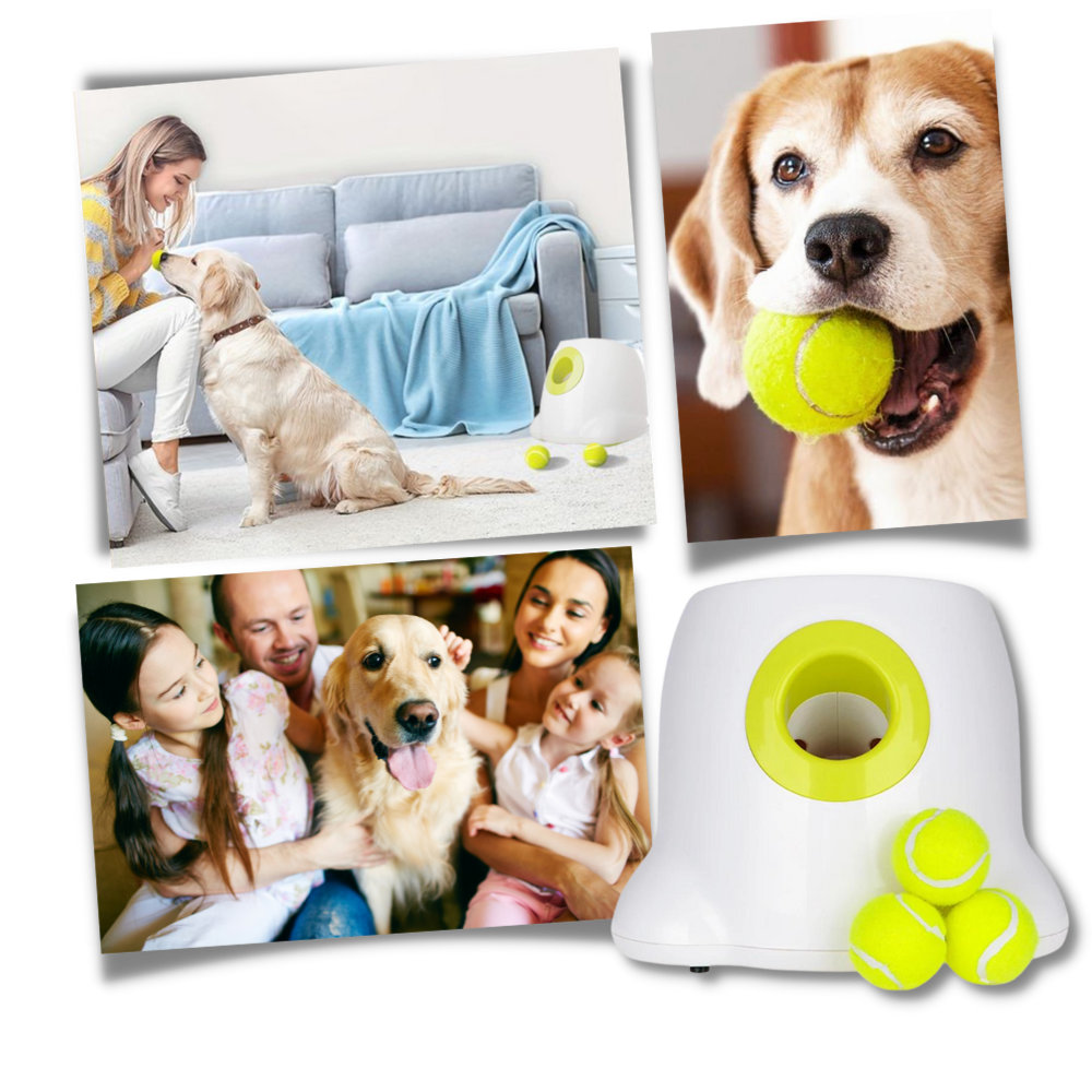 Automatic Dog Ball Launcher - Ozerty