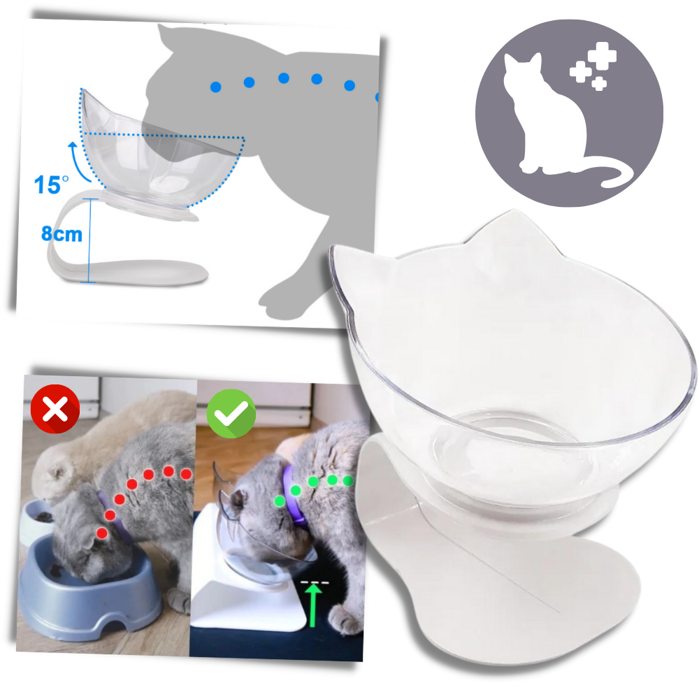 Antivomit cat bowl Elevated cat bowls Raised cat bowl Cat bowls with stand